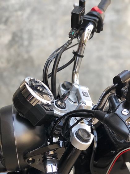 monkey125 รูปที่ 7