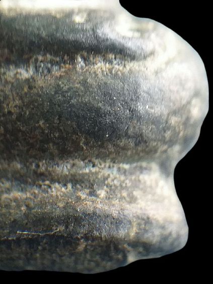 พระร่วงนั่ง ลพบุรี. รูปที่ 15