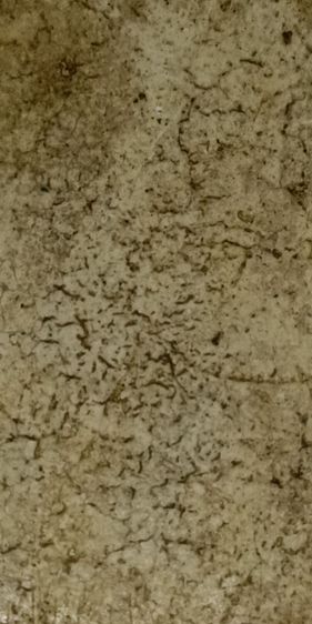 พระสมเด็จเกศไชโย รูปที่ 5