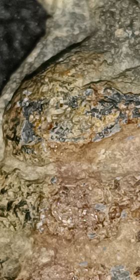 พระนาคปรก เนื้อสนิมแดง อมเขียว สวยงามมากๆ รูปที่ 5