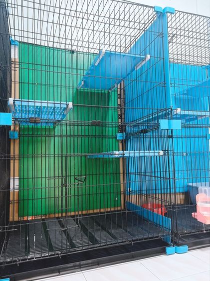 กรงแมว  รูปที่ 6