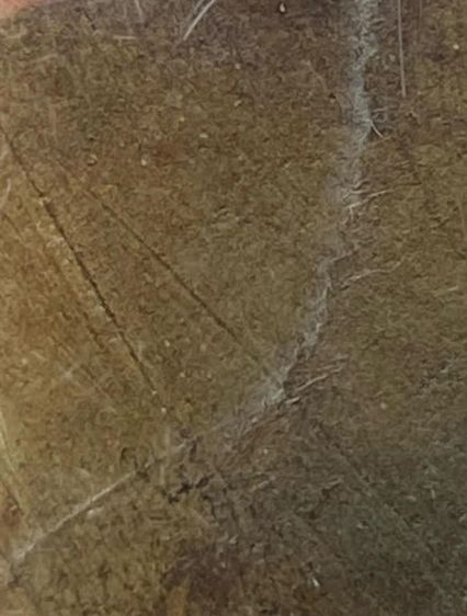 แหวกม่านข้างเม็ดพ่อกวย วัดโฆษิตารามปี39เนื้อดินผสมผง สวยสมบูรณ์ แท้ทันสวยคับ รูปที่ 2