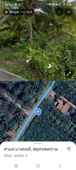 ไม่ใช่ ขายที่ดิน อำเภอบางคนที รูปที่ 2