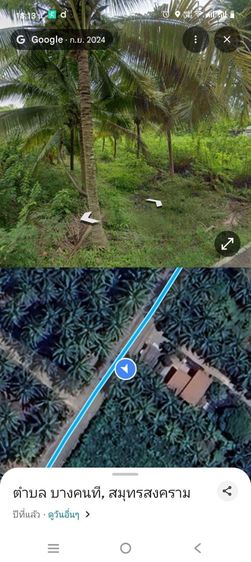 ขายที่ดิน อำเภอบางคนที