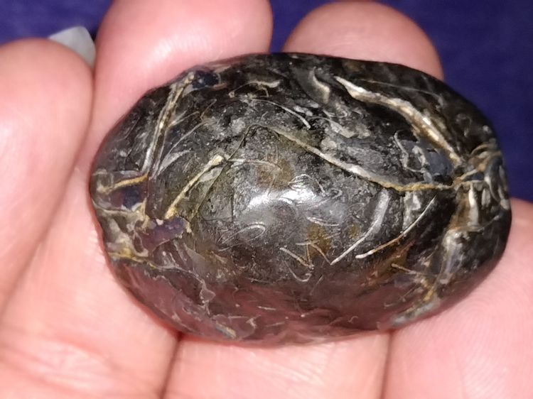 เบี้ยแก้ แบบเปลือยตีพับที่ตัวเบี้ยแบบไม่ตัดปีก ยุคต้น หลวงปู่บุญ วัดกลางบางแก้ว จ.นครปฐม องค์ครู สภาพเปลือยหุ้มด้วยโลหะตะกั่ว ปรอทยังวิ่งเต็