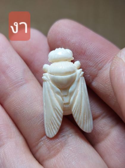 เครื่องรางแมลงภู่ล้านนา