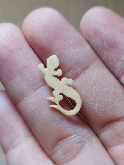 เครื่องรางจิ้งจกหลวงปู่หน่ายวัดบ้านแจ้งอยุทธยา รูปที่ 5