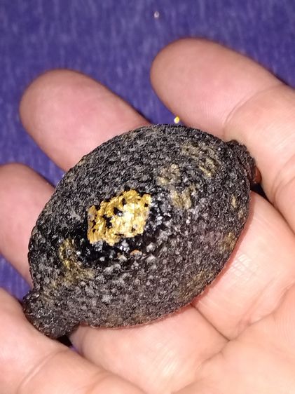 เบี้ยแก้ หลวงปู่เจือ วัดกลางบางแก้ว นครปฐม ปี 2548 ตอกโค้ด จารมือ ฝังตะกรุดยาวประมาณ 1.5 นิ้ว ถักเชือกดำ ปิดทอง สภาพสวยเก่าเก็บ ไม่ผ่านการใช รูปที่ 5