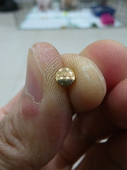 เม็ดมะยม นาฬิกา ยี่ห้อ MIDO สวยหายาก สีทอง เก่าเก็บ เดิมๆ ขายตามสภาพ พร้อมส่ง 