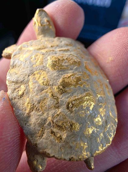 ของสะสมของเก่าโบราณ เต่า เดิมๆ สีทอง หนักๆ  สวยหายาก ขายตามสภาพ พร้อมส่งครับ รูปที่ 12