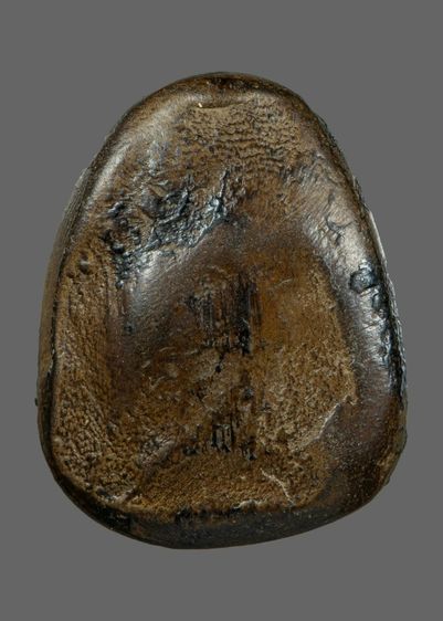 พระปิดตาแข้งหมอน รูปที่ 2