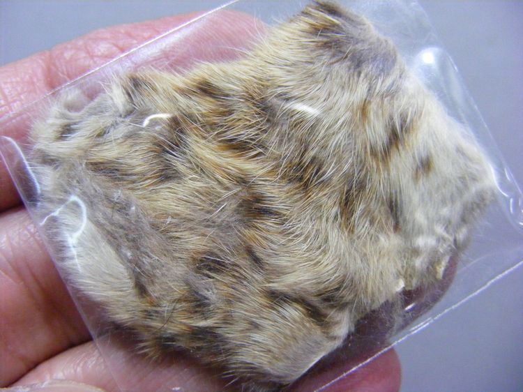 หายาก พุทธคุณมหาอำนาจ มหาบารมี เข้มขลัง