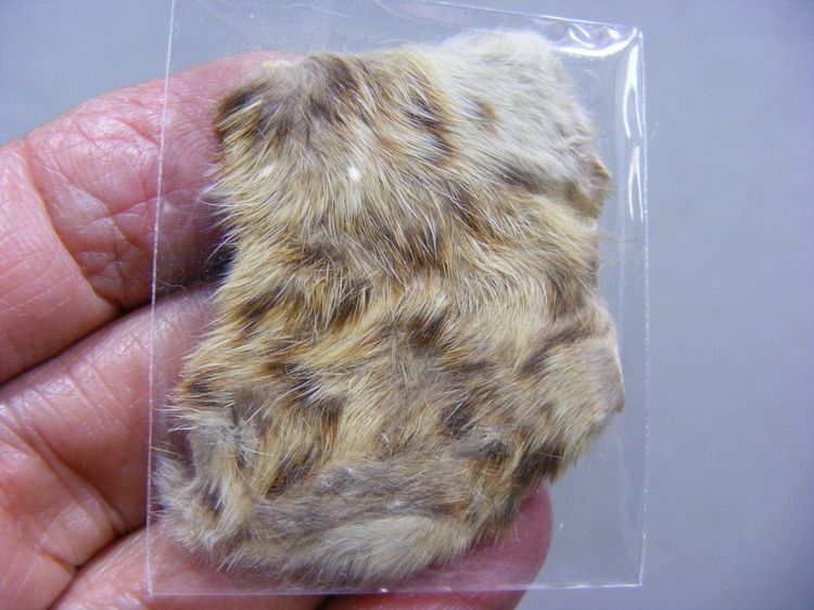 หายาก พุทธคุณมหาอำนาจ มหาบารมี เข้มขลัง