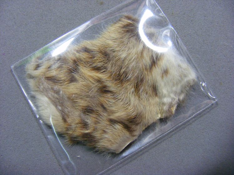 หายาก พุทธคุณมหาอำนาจ มหาบารมี เข้มขลัง