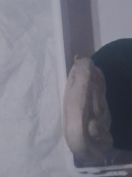 พระปิดตาหลวงปู่โต๊ะ รูปที่ 3