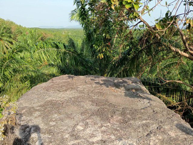 ใช่ ขายที่ดินแปลงติดทะเล บนเขาสูง15เมตรมีหน้าผา3ไร่ๆละ2ล้าน  รูปที่ 4