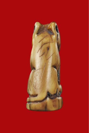 ยอดเสือหลวงพ่อปานคลองด่านตัวจริง รูปที่ 4