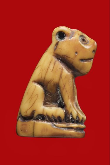 ยอดเสือหลวงพ่อปานคลองด่านตัวจริง รูปที่ 2