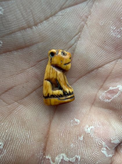 ยอดเสือหลวงพ่อปานคลองด่านตัวจริง