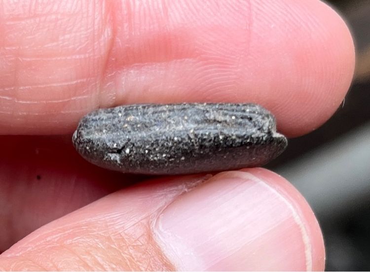 หลวงปู่บุญ วัดกลางบางแก้ว รูปที่ 4