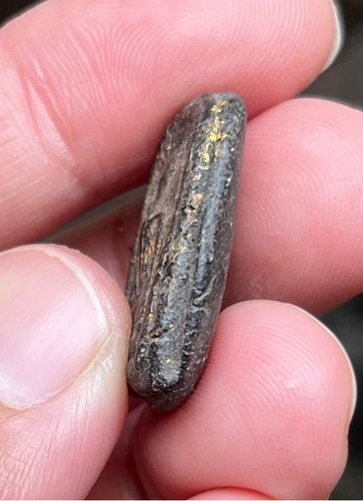 หลวงปู่บุญ วัดกลางบางแก้ว รูปที่ 5