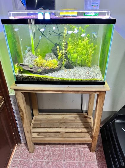 ตู้ปลา24นิ้ว พร้อมโต๊ะ ไฟเเละปั๊มน้ำ พร้อมทำความสะอาด รูปที่ 3