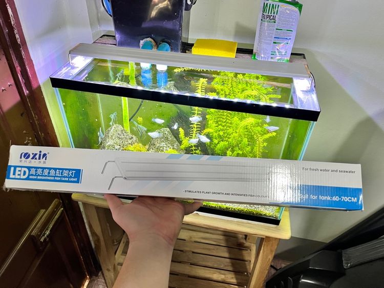 ตู้ปลา24นิ้ว พร้อมโต๊ะ ไฟเเละปั๊มน้ำ พร้อมทำความสะอาด รูปที่ 2