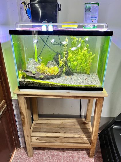 ตู้ปลา24นิ้ว พร้อมโต๊ะ ไฟเเละปั๊มน้ำ พร้อมทำความสะอาด รูปที่ 4