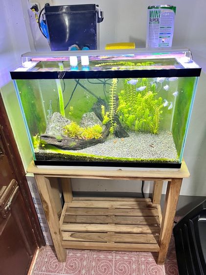 ตู้ปลา24นิ้ว พร้อมโต๊ะ ไฟเเละปั๊มน้ำ พร้อมทำความสะอาด