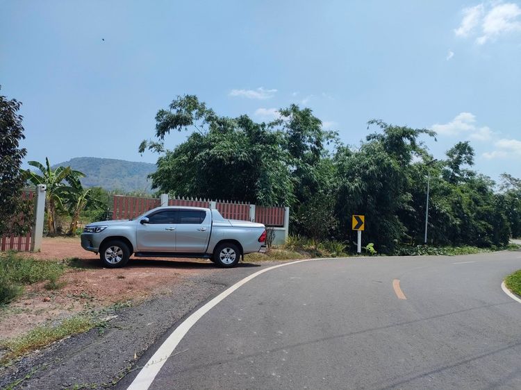 ขายด่วน‼️ที่ดินวิวเขา ติดถนนลาดยาง เดินทางสะดวก รูปที่ 3