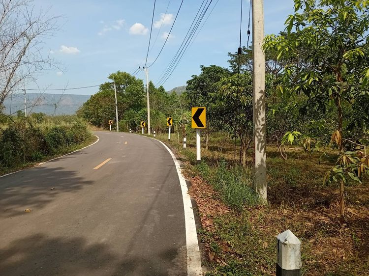 ขายด่วน‼️ที่ดินวิวเขา ติดถนนลาดยาง เดินทางสะดวก รูปที่ 4