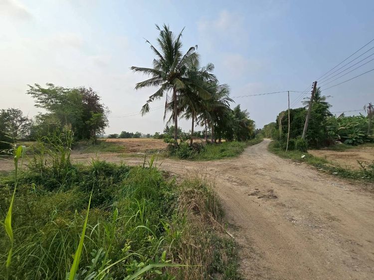 ขายที่ดิน 8 ไร่ 3 งาน 95 ตร.วา ติดถนนเลี่ยงเมือง ราคาถูก รูปที่ 4