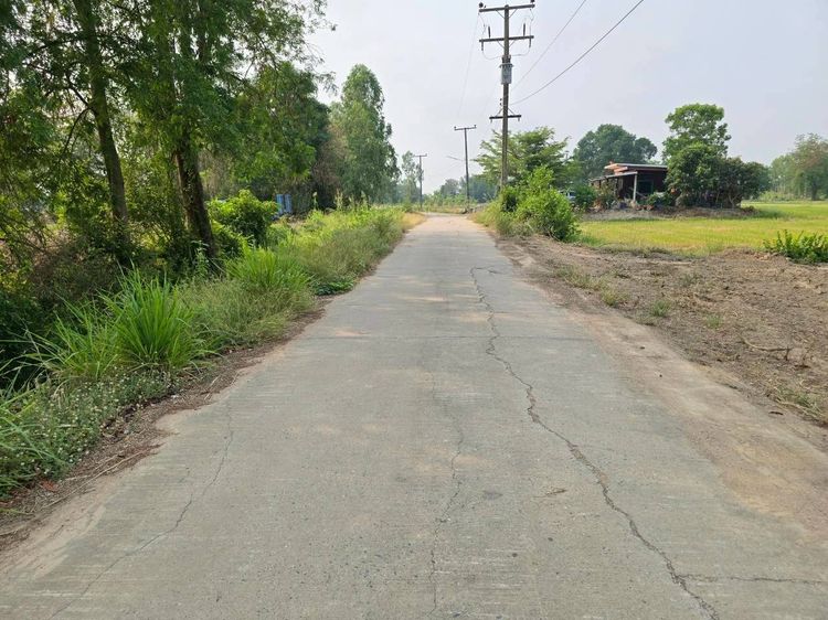 ขายที่ดิน 8 ไร่ 3 งาน 95 ตร.วา ติดถนนเลี่ยงเมือง ราคาถูก รูปที่ 3