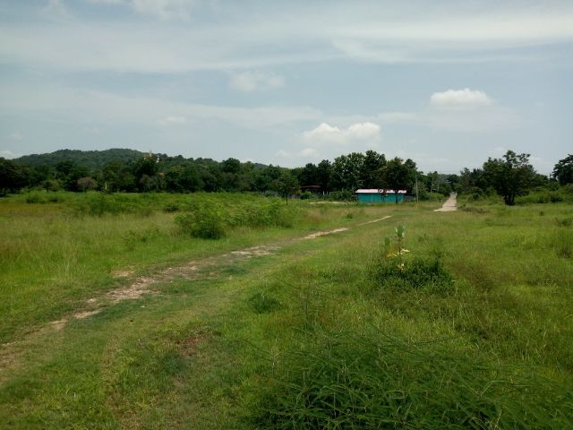 ใช่ ที่ดินเปล่าโฉนดพร้อมโอน รูปที่ 2