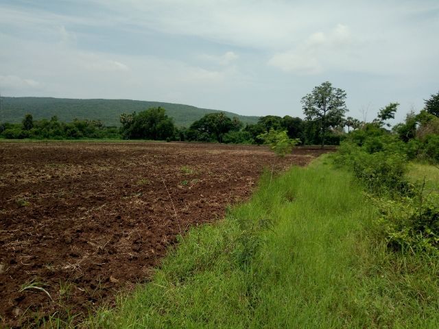 ใช่ ที่ดินเปล่าโฉนดพร้อมโอน