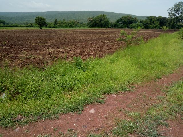 ใช่ ที่ดินเปล่าโฉนดพร้อมโอน รูปที่ 4