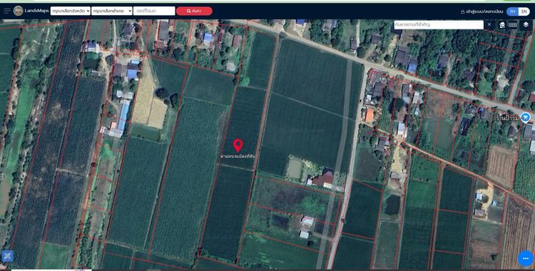 ที่ดินกาญจนบุรี ที่ดินทำนาปลูกอ้อยได้ มีน้ำคลองไส้ไก่ หรือจะเจาะบ่อบาดาล ใช้ส่วนตัวไม่ต้องวุ่นวายตาม สไตล์Introvert รูปที่ 2