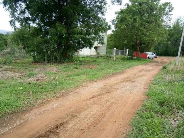 ใช่ ขายที่ดินสวย1ไร่2งาน รูปที่ 3