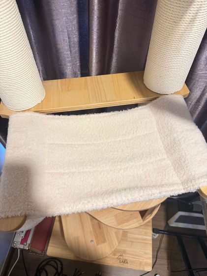 คอนโดแมว lara168 รูปที่ 3