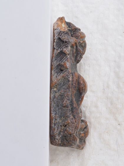 พระผงสุพรรณ 22016909 รูปที่ 3