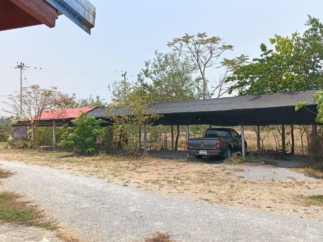 บ้าน2หลังใหญ่พร้อมที่2ไร่ติดถนนลาดยางอยู่หลัง ม.ราชมงคลสุวรรณภูมิสามชุกมีไม้ล้อม300ต้นมีคลองชลประทานติดถนนลาดยาง สอบถาม0894109810(เจ้าของ) รูปที่ 3