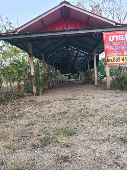 บ้าน2หลังใหญ่พร้อมที่2ไร่ติดถนนลาดยางอยู่หลัง ม.ราชมงคลสุวรรณภูมิสามชุกมีไม้ล้อม300ต้นมีคลองชลประทานติดถนนลาดยาง สอบถาม0894109810(เจ้าของ) รูปที่ 3