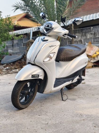 Gland filano 125 ABS
