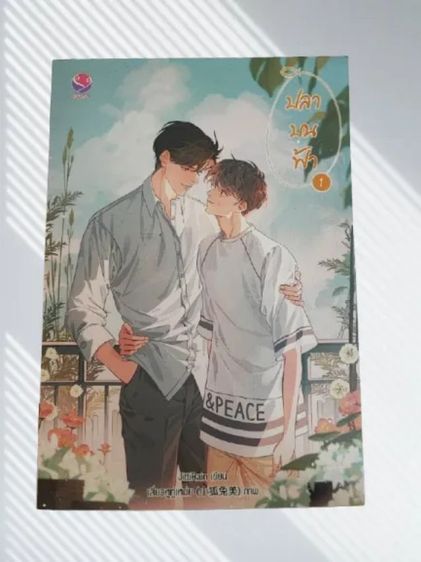 หนังสือนิยาย