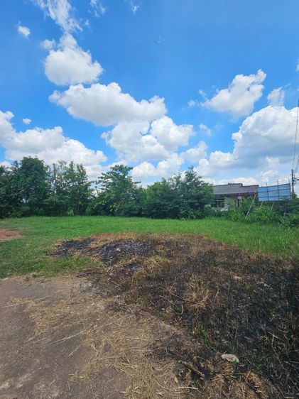 ที่ดินในเมือง แปลงมุม ติดถนน 44 m.