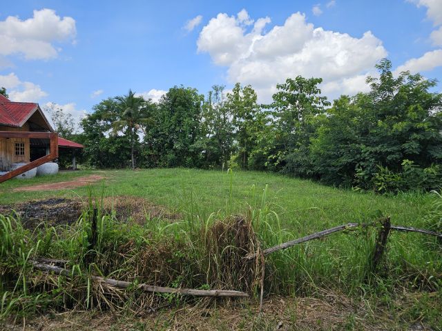 ที่ดินในเมือง แปลงมุม ติดถนน 44 m. รูปที่ 3
