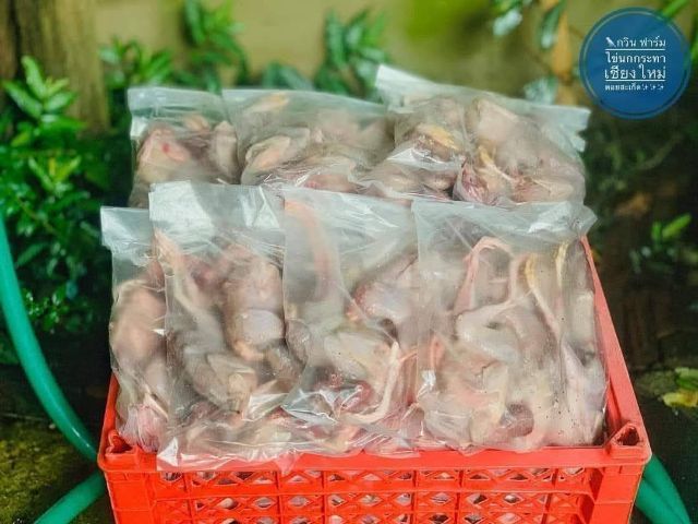 นกกระทาแช่แข็ง