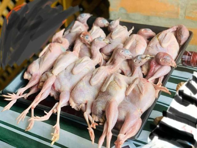 นกกระทาแช่แข็ง