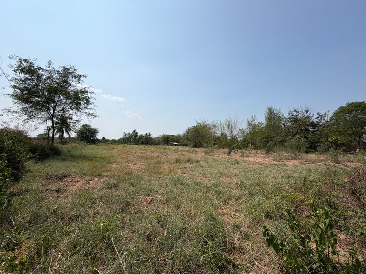 ขายที่ดิน โกสุมพิสัย มหาสารคาม