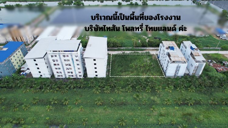 ขายที่ดิน 336 ตารางวา ข้างบริษัท ไทสัน จำกัด ติดถนนแหล่งชุมชน